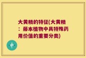 大黄精的特征(大黄精：藤本植物中具特殊药用价值的重要分类)