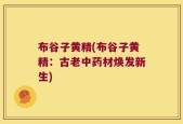 布谷子黄精(布谷子黄精：古老中药材焕发新生)