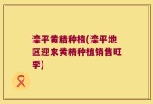 滦平黄精种植(滦平地区迎来黄精种植销售旺季)
