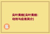 尖叶黄精(尖叶黄精：功效与应用简介)