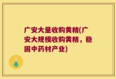 广安大量收购黄精(广安大规模收购黄精，稳固中药材产业)