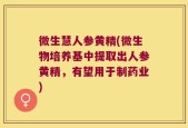 微生慧人参黄精(微生物培养基中提取出人参黄精，有望用于制药业)