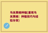 马关黄精种植(重现马关黄精：种植技巧与经验分享)