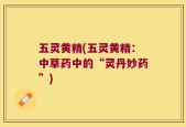 五灵黄精(五灵黄精：中草药中的“灵丹妙药”)