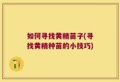 如何寻找黄精苗子(寻找黄精种苗的小技巧)