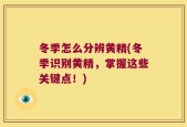 冬季怎么分辨黄精(冬季识别黄精，掌握这些关键点！)
