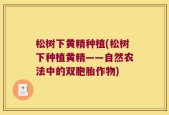 松树下黄精种植(松树下种植黄精——自然农法中的双胞胎作物)