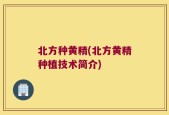 北方种黄精(北方黄精种植技术简介)