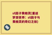 st因子黄精灵(重返梦想世界：st因子与黄精灵的奇幻之旅)