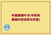 中国黄精叶子(中药材黄精叶的功效与作用)
