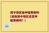 湘中地区能种植黄精吗(湖南湘中地区适宜种植黄精吗？)