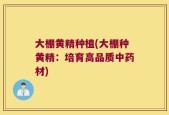 大棚黄精种植(大棚种黄精：培育高品质中药材)