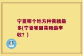 宁夏哪个地方种黄精最多(宁夏哪里黄精最丰收？)