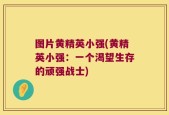 图片黄精英小强(黄精英小强：一个渴望生存的顽强战士)