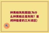 种黄精失败原因(为什么种黄精总是失败？束缚种植者的三大误区)