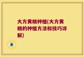 大方黄精种植(大方黄精的种植方法和技巧详解)