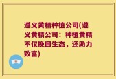 遵义黄精种植公司(遵义黄精公司：种植黄精不仅挽回生态，还助力致富)