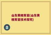 山东黄精育苗(山东黄精育苗技术探究)