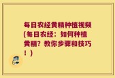 每日农经黄精种植视频(每日农经：如何种植黄精？教你步骤和技巧！)