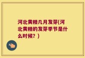 河北黄精几月发芽(河北黄精的发芽季节是什么时候？)