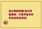 南川黄精种植(南川种植黄精：打造丰富多彩的生态农业利润)