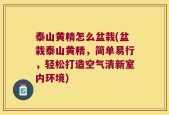 泰山黄精怎么盆栽(盆栽泰山黄精，简单易行，轻松打造空气清新室内环境)