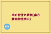 南方种什么黄精(南方黄精种植情况)
