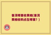 普洱哪里收黄精(普洱黄精收购点在哪里？)