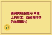 西藏黄精茶图片(草原上的珍宝：西藏黄精茶的美丽图片)