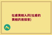 杜甫黄精入药(杜甫的黄精药用探索)