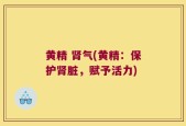 黄精 肾气(黄精：保护肾脏，赋予活力)
