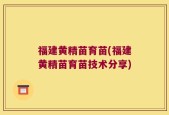 福建黄精苗育苗(福建黄精苗育苗技术分享)