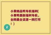 小黄精品鸭导航福利(小黄鸭最新福利导航，全网最全资源一网打尽！)