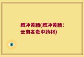 腾冲黄精(腾冲黄精：云南名贵中药材)