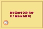 春季黄精叶变黄(黄精叶入春后逐渐变黄)