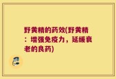 野黄精的药效(野黄精：增强免疫力，延缓衰老的良药)