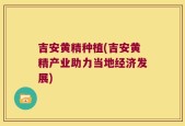 吉安黄精种植(吉安黄精产业助力当地经济发展)