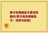 质子肉黄精态子甚功效图片(质子肉及黄精态子：功效与应用)