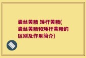 囊丝黄精 矮杆黄精(囊丝黄精和矮杆黄精的区别及作用简介)