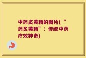 中药炙黄精的图片(“药炙黄精”：传统中药疗效神奇)