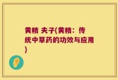 黄精 夫子(黄精：传统中草药的功效与应用)