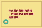 什么是肉黄精(肉黄精一种值得关注的草本植物新发现)