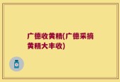 广德收黄精(广德采摘黄精大丰收)