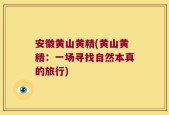 安徽黄山黄精(黄山黄精：一场寻找自然本真的旅行)