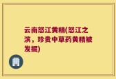 云南怒江黄精(怒江之滨，珍贵中草药黄精被发掘)