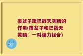 覆盆子跟巴戳天黄精的作用(覆盆子和巴戳天黄精：一对强力组合)