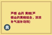 芦根 山药 黄精(芦根山药黄精组合，浓浓补气滋补功效)
