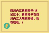 四川内江黄精种子(试试这个：黄精种子在四川内江大规模种植，助农增收。)