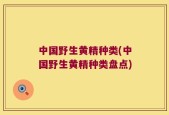 中国野生黄精种类(中国野生黄精种类盘点)