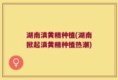湖南滇黄精种植(湖南掀起滇黄精种植热潮)